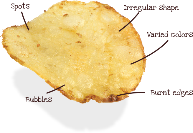 Our potato chip facts