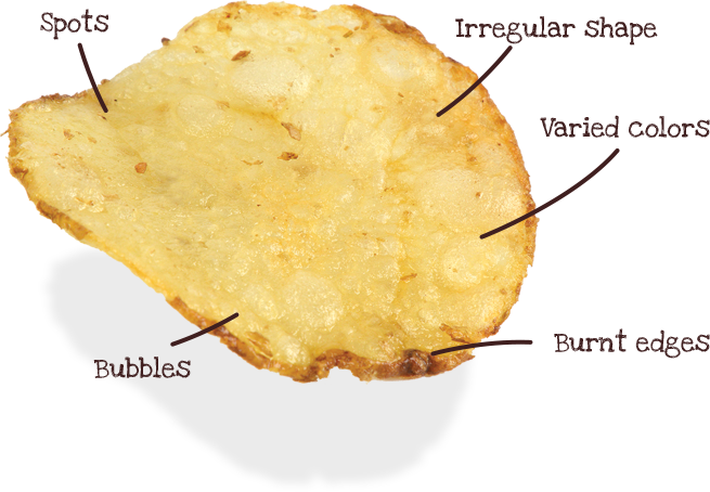 home_intro_chip_rv2 Our potato chip facts